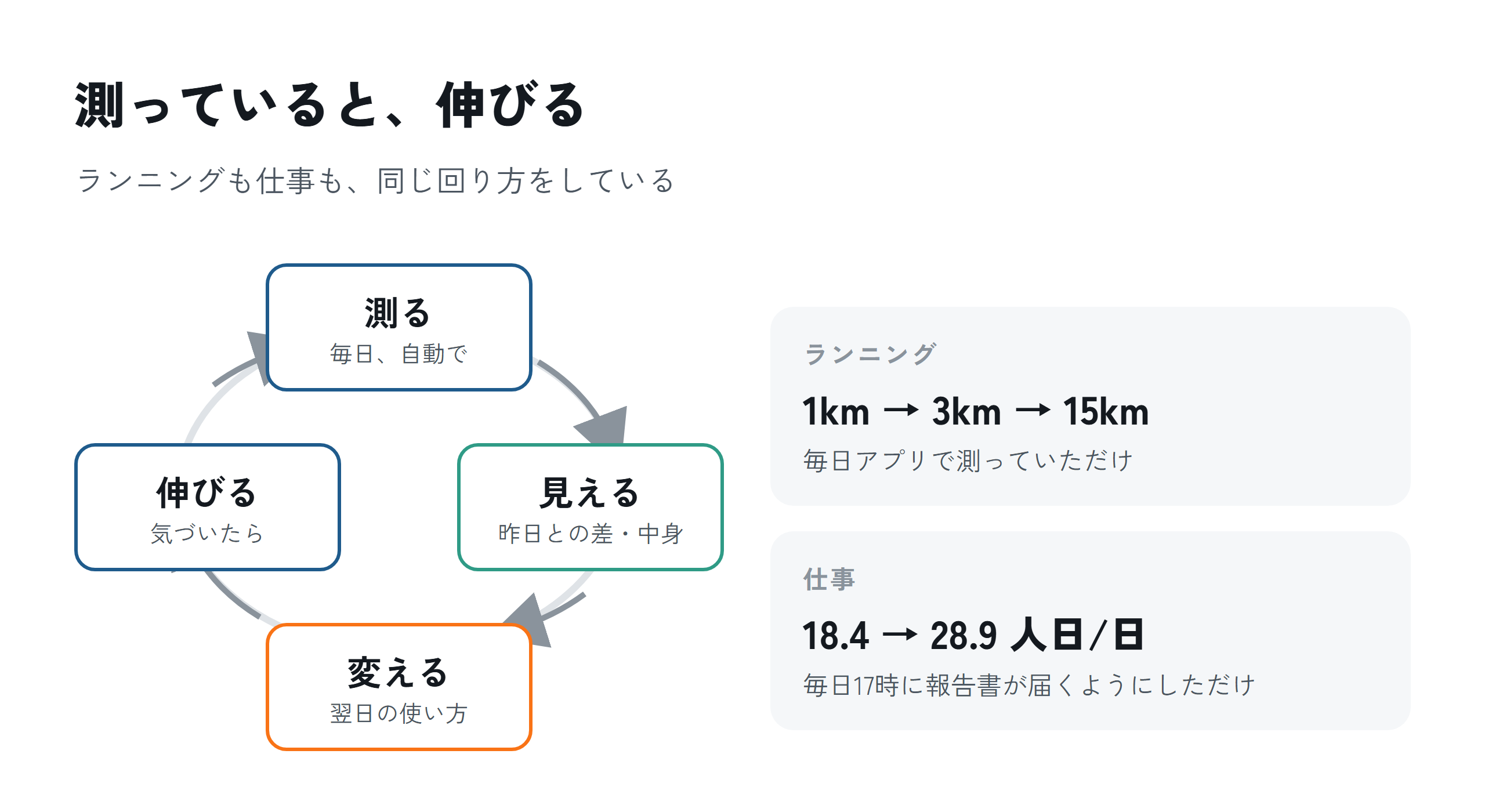 測る→見える→変える→伸びる。ランニングも仕事も、同じ回り方をしている